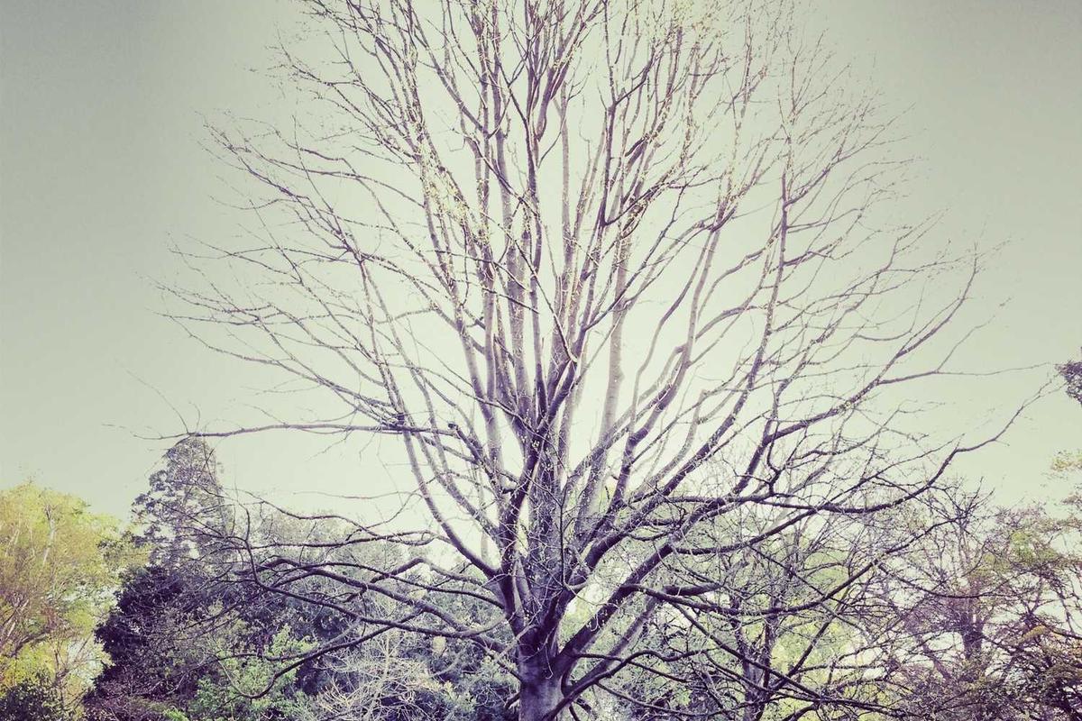 How to Automate Phishing Triage With n8n 44