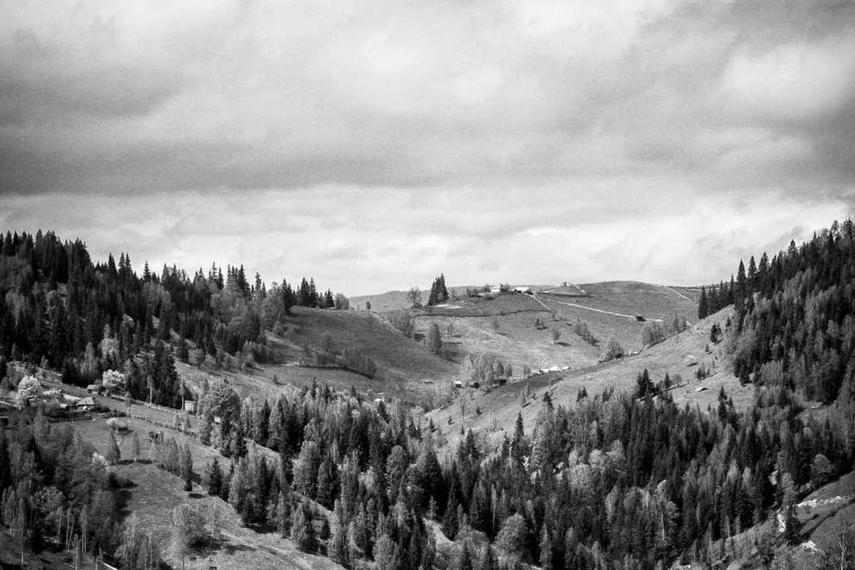 Dark Web Intelligence and Leaked Credential Review 68