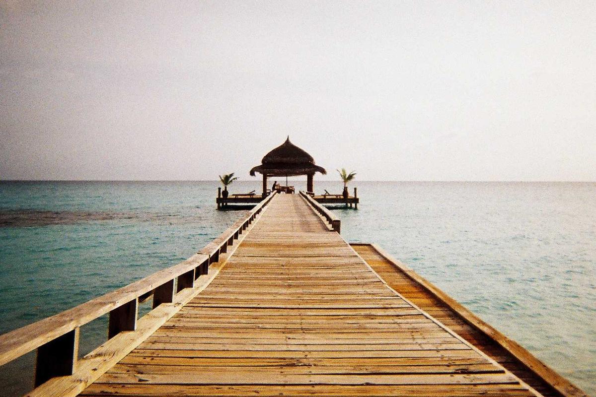 Dark Web Intelligence and Leaked Credential Review 78